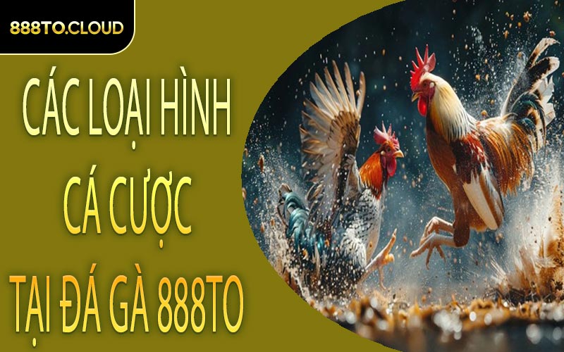 Các loại hình cá cược tại đá gà 888TO