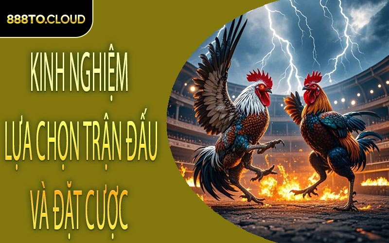 Kinh nghiệm lựa chọn trận đấu và đặt cược