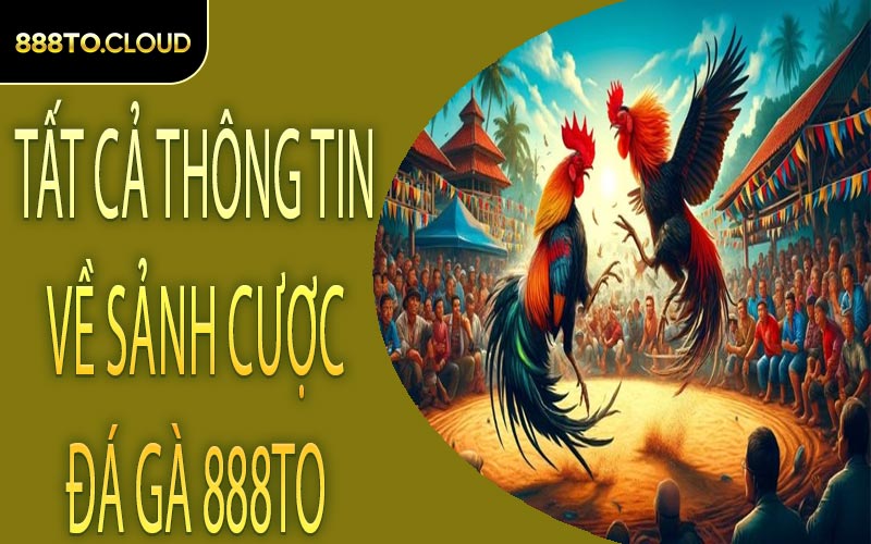 Tất cả thông tin về sảnh cược đá gà 888TO