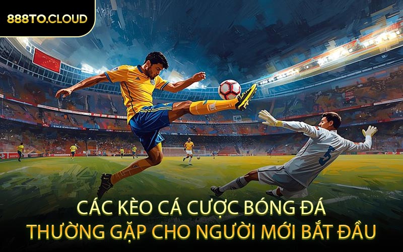 Các Kèo Cá Cược Bóng Đá Thường Gặp Cho Người Mới Bắt Đầu